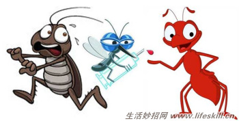 蚂蚁怕酸、蚊子怕辣、蟑螂怕香！低成本驱虫