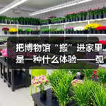 把博物馆“搬”进家里是一种什么体验——弧