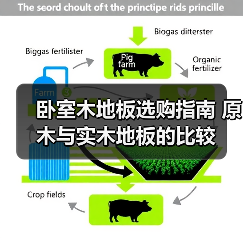 卧室木地板选购指南 原木与实木地板的比较(图3) 卧室木地板选购指南 原木与实木地板的比较(图3)