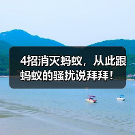 4招消灭蚂蚁，从此跟蚂蚁的骚扰说拜拜！（图4）