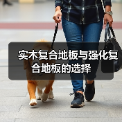 实木复合地板与强化复合地板的选择(图3) 实木复合地板与强化复合地板的选择(图3)