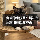 食盐的小妙用！解决生活烦恼竟如此神奇！（图3）