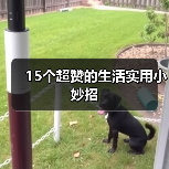 15个超赞的生活实用小妙招（图4）