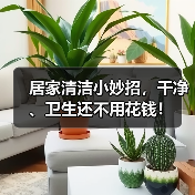 居家清洁小妙招，干净、卫生还不用花钱！（图3）