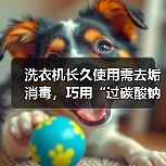 洗衣机长久使用需去垢消毒，巧用“过碳酸钠