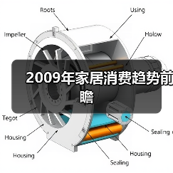 2009年家居消费趋势前瞻（图3）