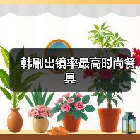 韩剧出镜率最高时尚餐具（图1）