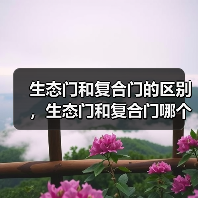 生态门和复合门的区别，生态门和复合门哪个好（图3）