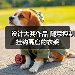 设计大奖作品 随意控制挂钩高度的衣架