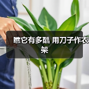 瞧它有多酷 用刀子作衣架