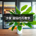 沙发 因简约而奢华（图4）
