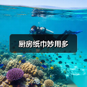 厨房纸巾妙用多（图2）