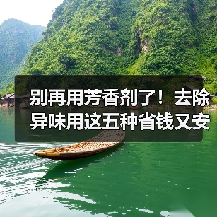 别再用芳香剂了！去除异味用这五种省钱又安全的方法！（图3）