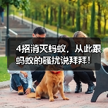 4招消灭蚂蚁，从此跟蚂蚁的骚扰说拜拜！（图2）