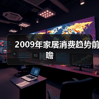 2009年家居消费趋势前瞻（图4）