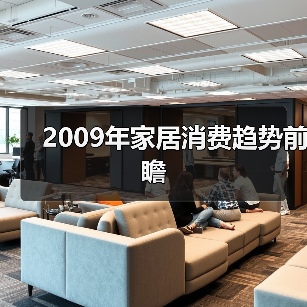 2009年家居消费趋势前瞻（图1）