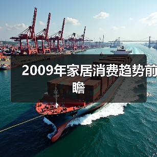 2009年家居消费趋势前瞻（图2）