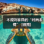 不规则家具的“时尚表情” [组图]（图2）