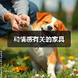 和情感有关的家具（图4）