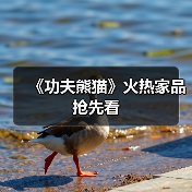 《功夫熊猫》火热家品抢先看（图3）