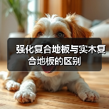 强化复合地板与实木复合地板的区别(图2) 强化复合地板与实木复合地板的区别(图2)