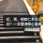 红、黄、褐榄仁木怎么分？一文厘清核心差异与应用边界（图4）