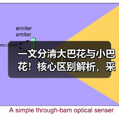 一文分清大巴花与小巴花！核心区别解析，采购避坑必看（图4）