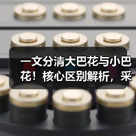 一文分清大巴花与小巴花！核心区别解析，采购避坑必看（图2）