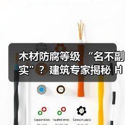 木材防腐等级 “名不副实”？建筑专家揭秘 H3 失效背后的设计危机（图4）