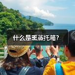 什么是熏蒸托箱？（图4）