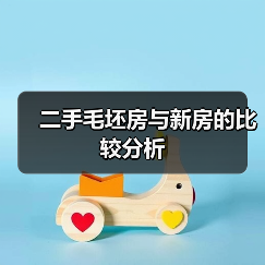 二手毛坯房与新房的比较分析（图2）