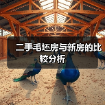 二手毛坯房与新房的比较分析（图4）