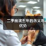 二手房满五年的含义与优势（图1）