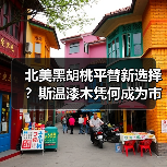 北美黑胡桃平替新选择?斯温漆木凭何成为市场新宠(图3) 北美黑胡桃平替新选择?斯温漆木凭何成为市场新宠(图3)