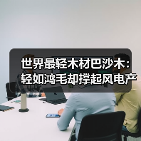 世界最轻木材巴沙木:轻如鸿毛却撑起风电产业半边天(图4) 世界最轻木材巴沙木:轻如鸿毛却撑起风电产业半边天(图4)