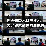 世界最轻木材巴沙木:轻如鸿毛却撑起风电产业半边天(图2) 世界最轻木材巴沙木:轻如鸿毛却撑起风电产业半边天(图2)