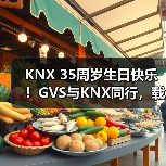 KNX 35周岁生日快乐！GVS与KNX同行，载誉开启下一个新征程！（图4）