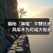 揭秘“黑檀”平替优选:风车木为何成大板茶桌高端材质新宠?(图1) 揭秘“黑檀”平替优选:风车木为何成大板茶桌高端材质新宠?(图1)