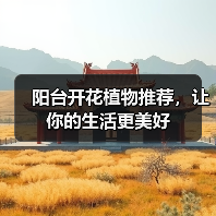 阳台开花植物推荐，让你的生活更美好（图3）
