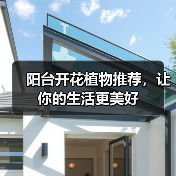 阳台开花植物推荐，让你的生活更美好（图1）