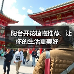阳台开花植物推荐，让你的生活更美好（图2）