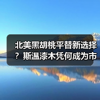 北美黑胡桃平替新选择?斯温漆木凭何成为市场新宠(图1) 北美黑胡桃平替新选择?斯温漆木凭何成为市场新宠(图1)
