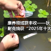 康养领域获丰收——狄耐克摘获“2025年十大智慧康养品牌奖”！（图3）