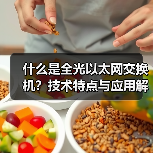 什么是全光以太网交换机?技术特点与应用解析(图2) 什么是全光以太网交换机?技术特点与应用解析(图2)