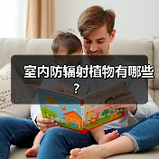 室内防辐射植物有哪些？（图4）