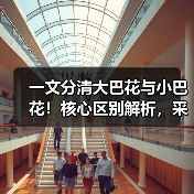 一文分清大巴花与小巴花！核心区别解析，采购避坑必看（图2）