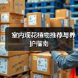 室内观花植物推荐与养护指南（图4）