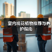室内观花植物推荐与养护指南（图1）