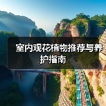 室内观花植物推荐与养护指南（图3）