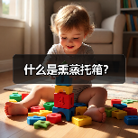 什么是熏蒸托箱？（图1）